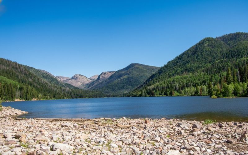 Best Tub To Shower Conversion pros in Oakley, CA