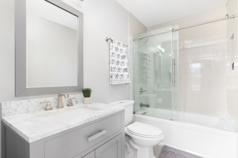 Top Tub To Shower Conversion Companies in Moraga, CA